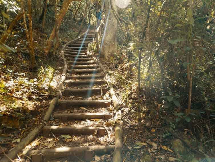 Sendero Ecológico Amado