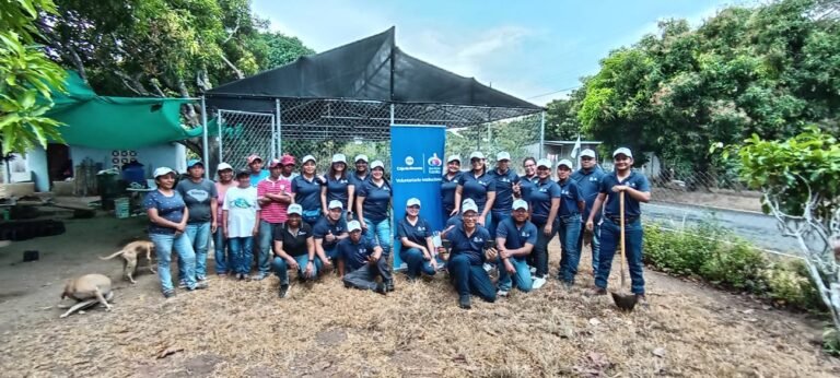 Siembra de semillas y producción de plantones forestales en Coclé