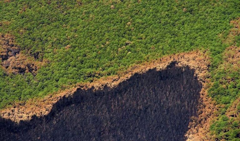 España vive tres veces por encima de sus posibilidades ecológicas