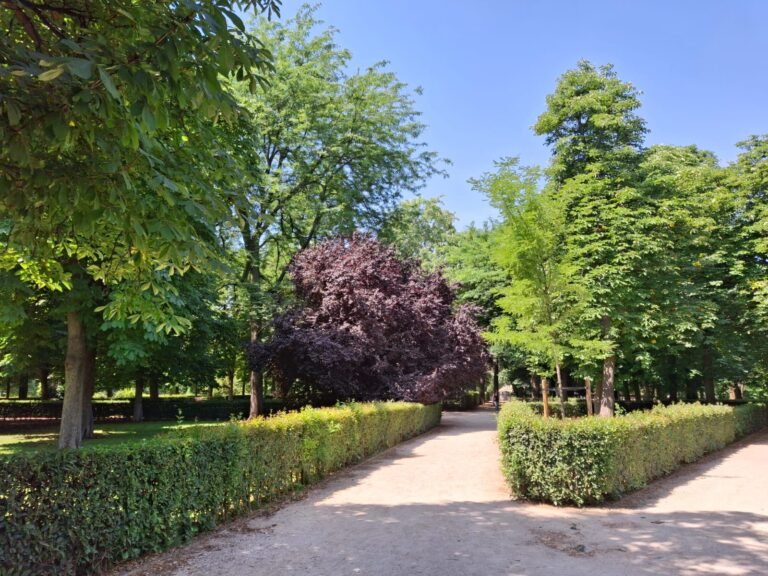 Parque El Retiro: el pulmón verde de Madrid