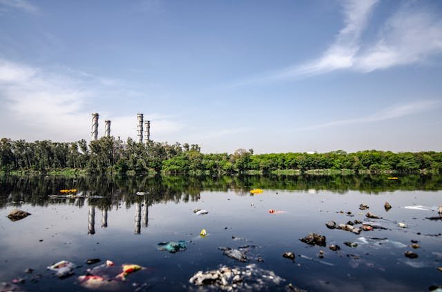 La contaminación por plásticos y cómo ayudar a combatirla